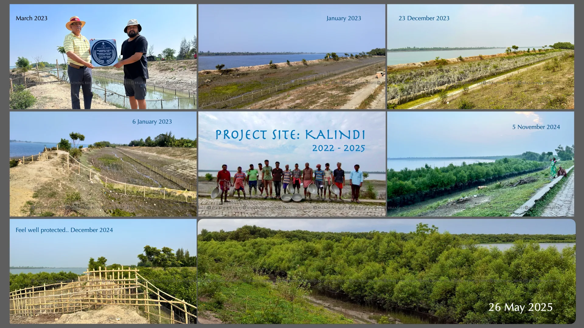 A photographic collage documenting the Kalindi project site across dates from 2022 to 2025, showing riverbank landscapes, planted mangroves, community members and established vegetation.
