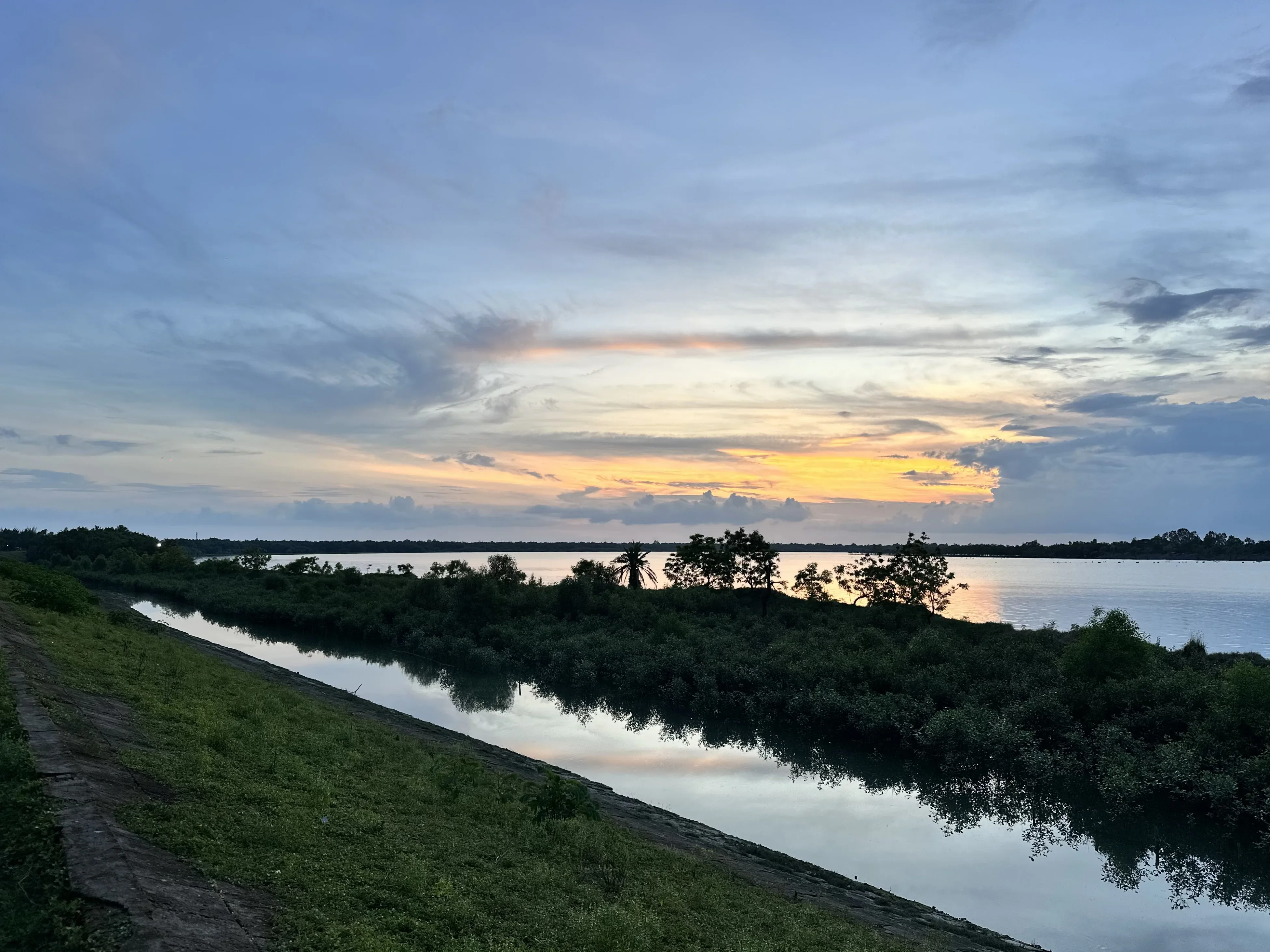 A mangrove belt along the riverbank protecting the land from tidal waves and flooding.