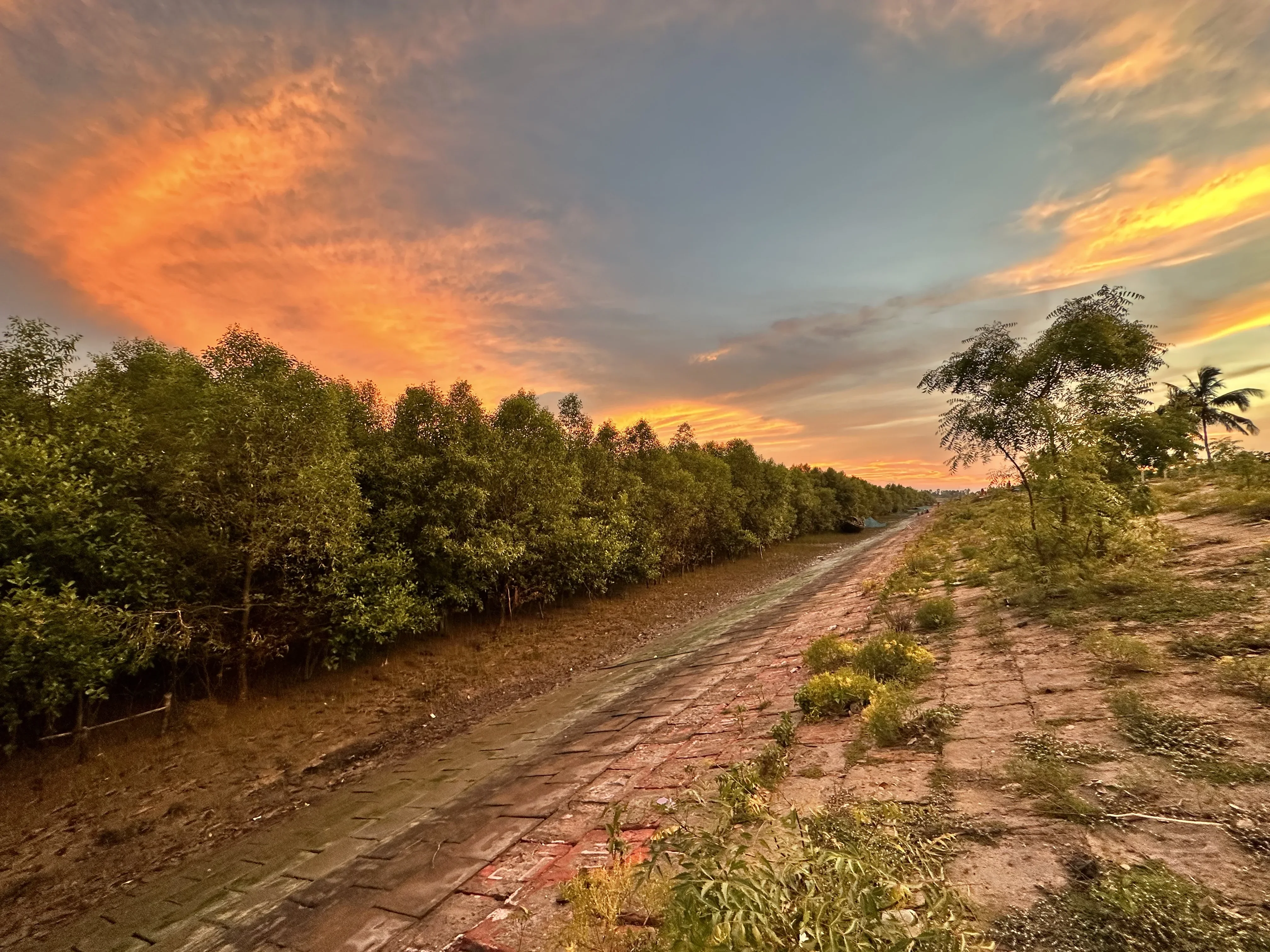 The mangrove belt along the Raimangal River at twilight.