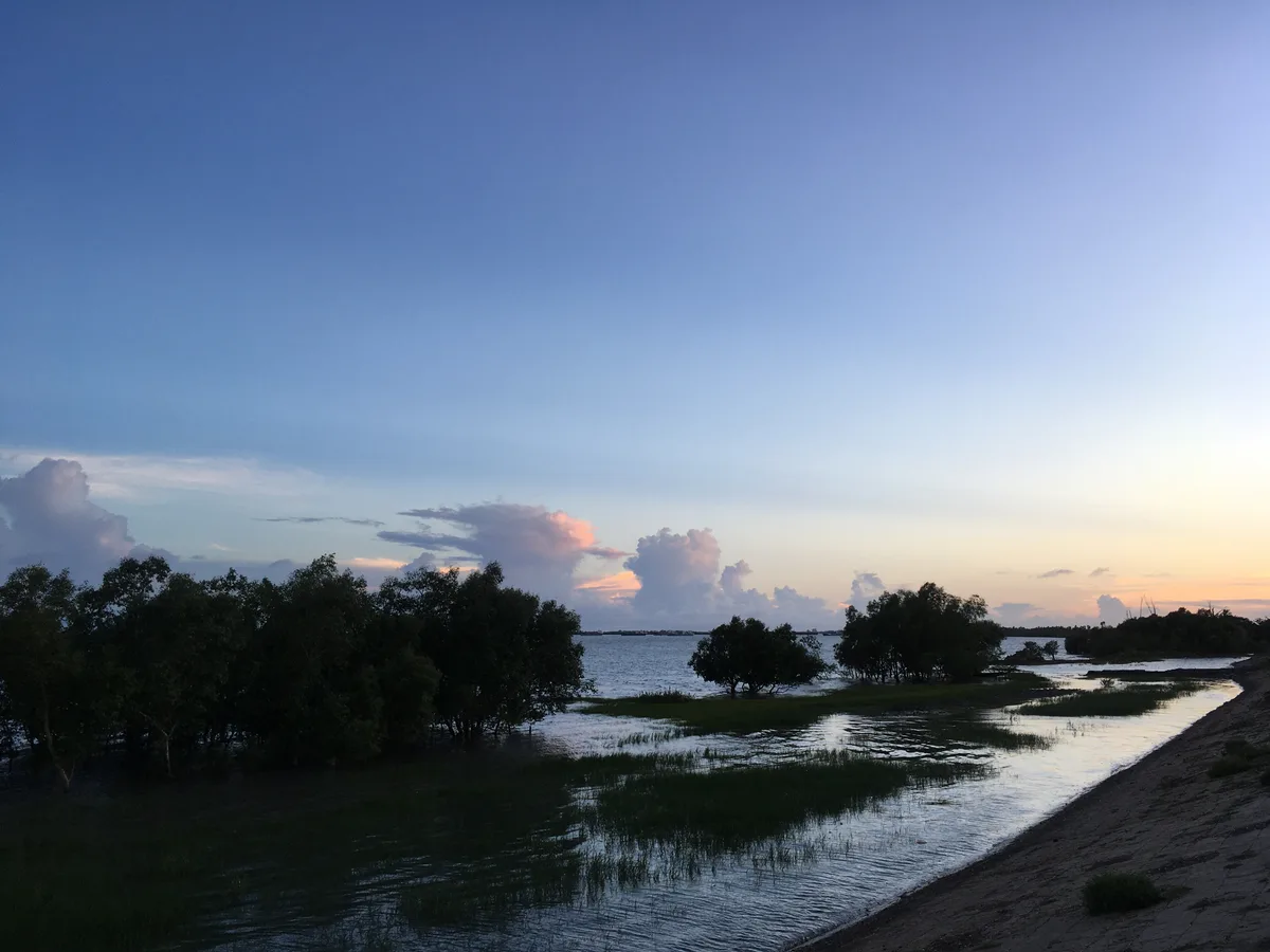 River, mangrove landscape and sky in fading light