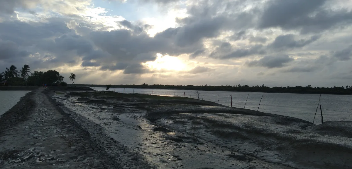 Riverside landscape at dusk