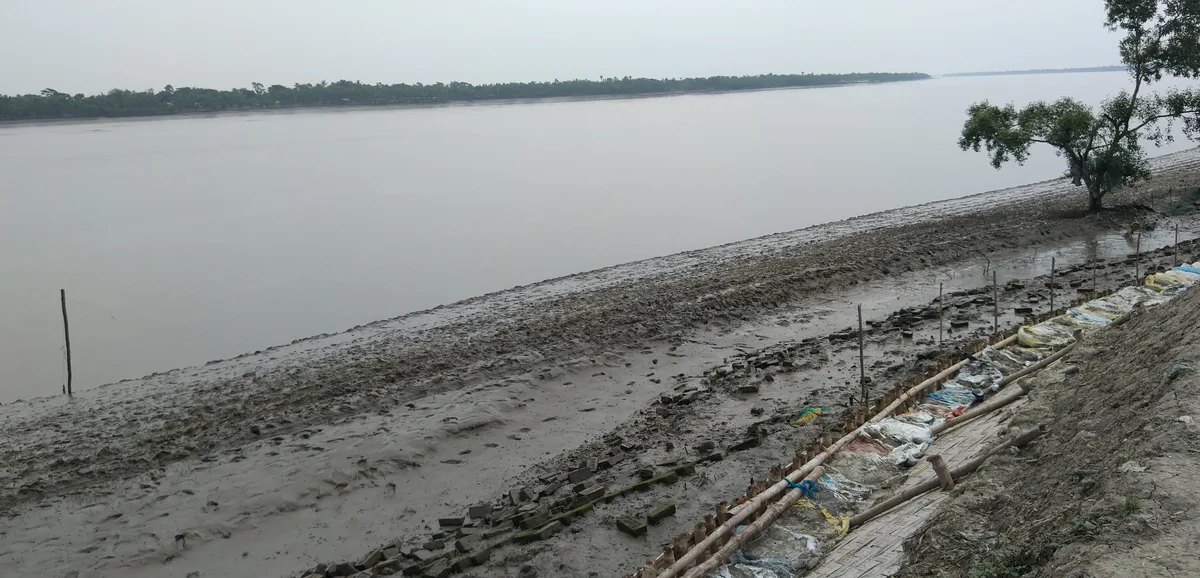 River beside a mangrove plantation site