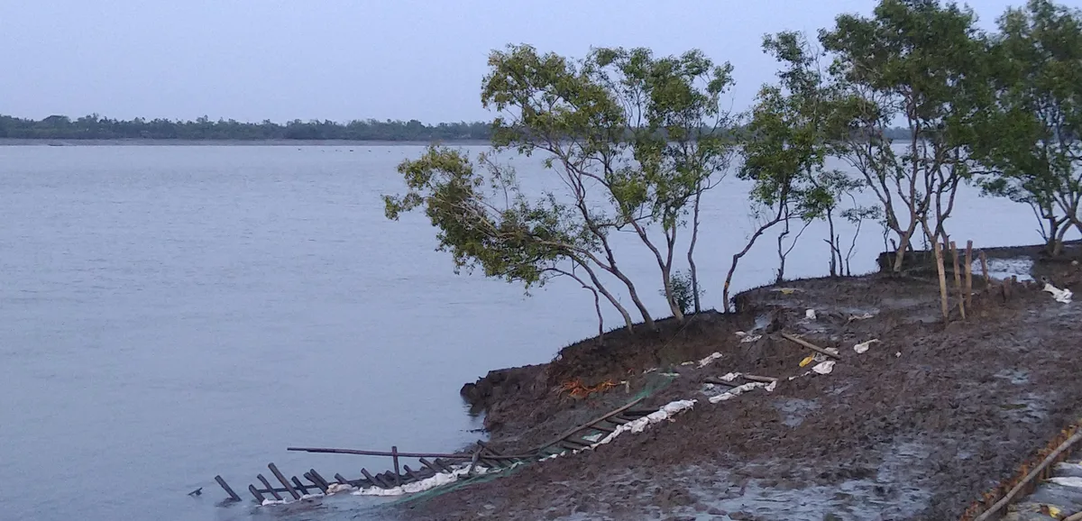 River in the Sundarbans