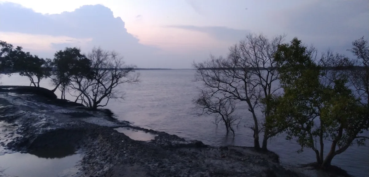 Water on both sides of a river embankment