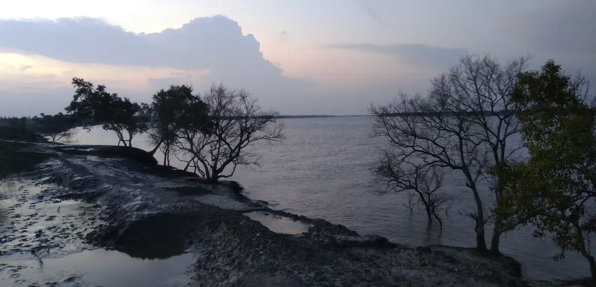 Water surrounding a river embankment