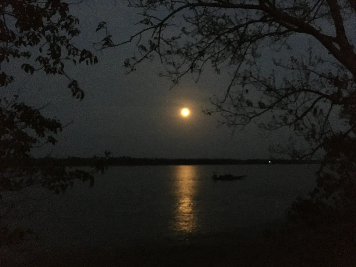 Full moon visible through trees with moonlight reflecting on the river