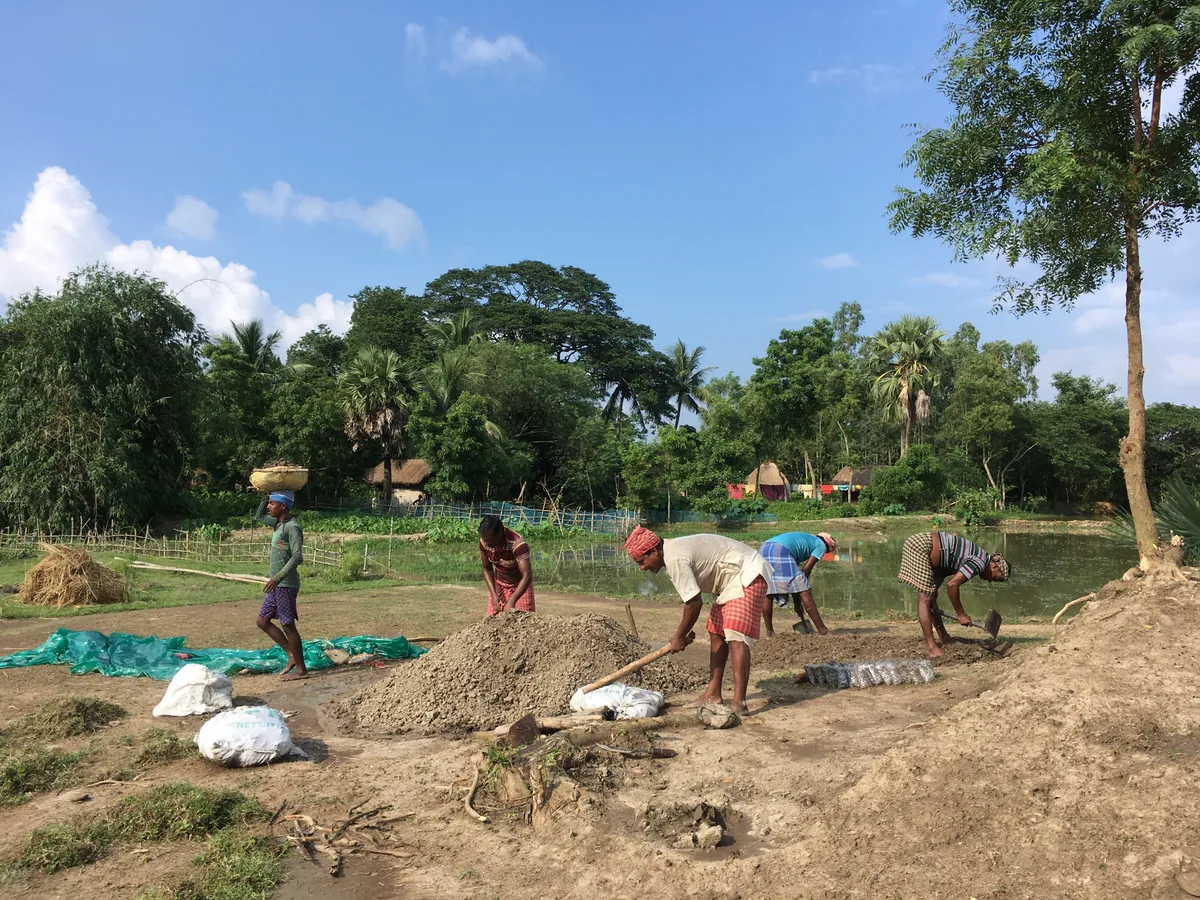 People working in a field