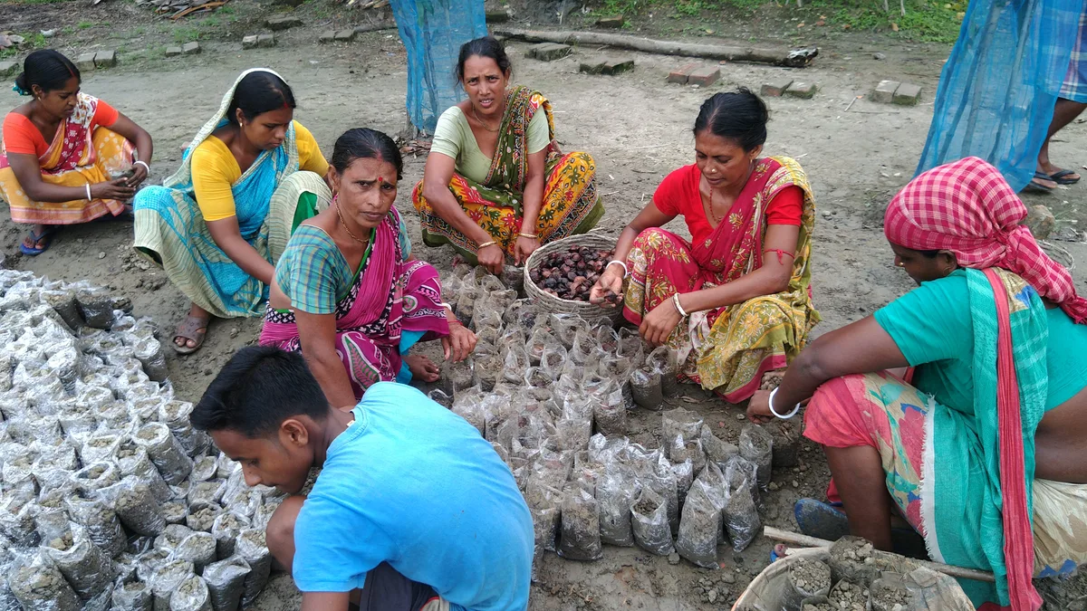 Women working with mangrove saplings beside a riverside nursery