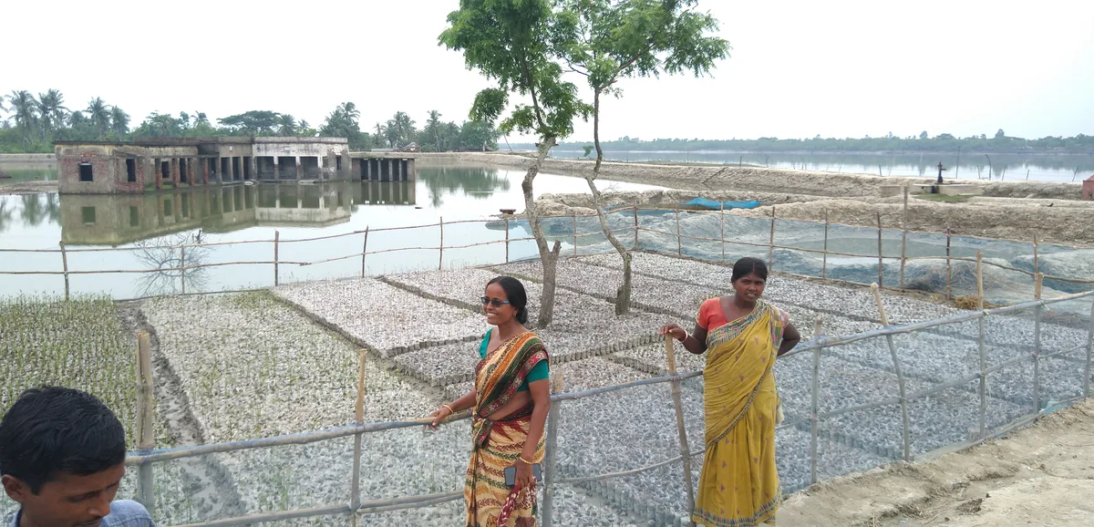 Women watching activities at a mangrove nursery
