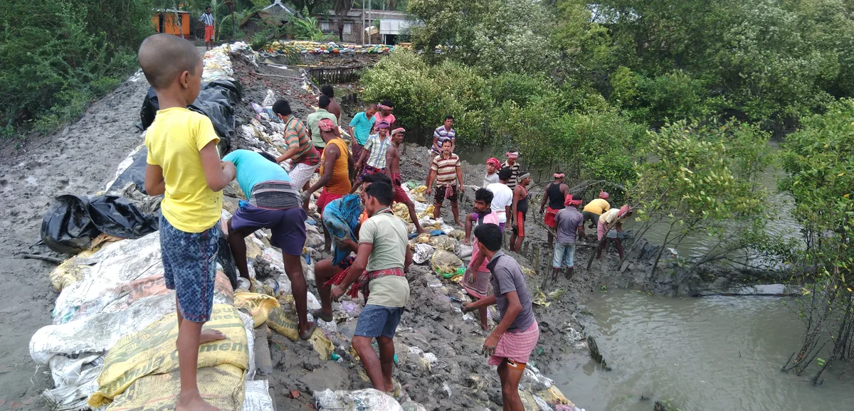 People working at a mangrove plantation site