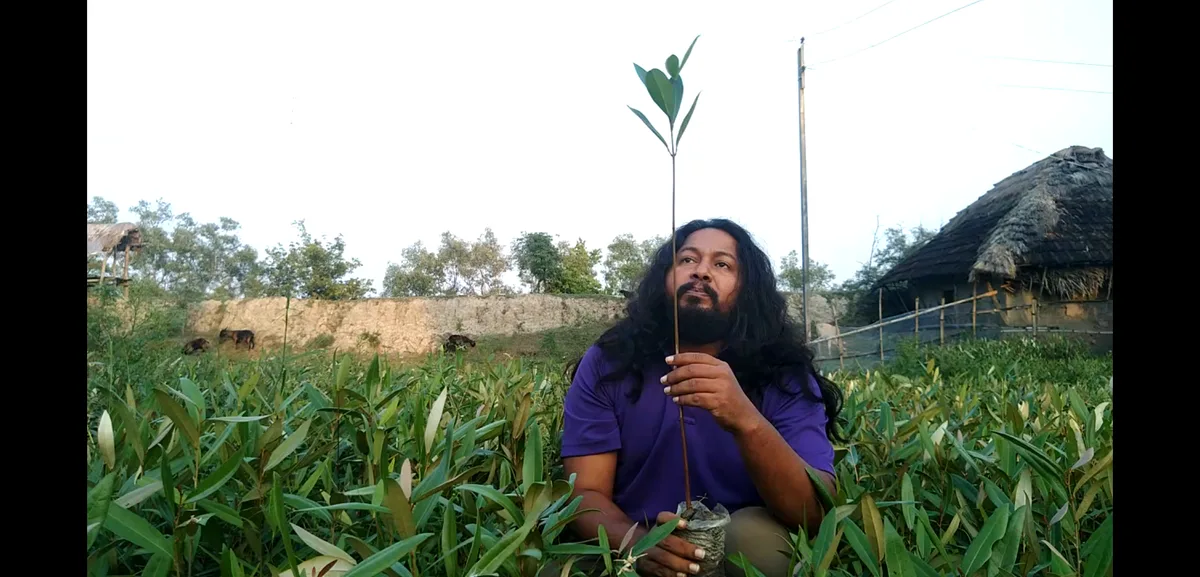 Saurav Moni observing the growth of mangrove saplings