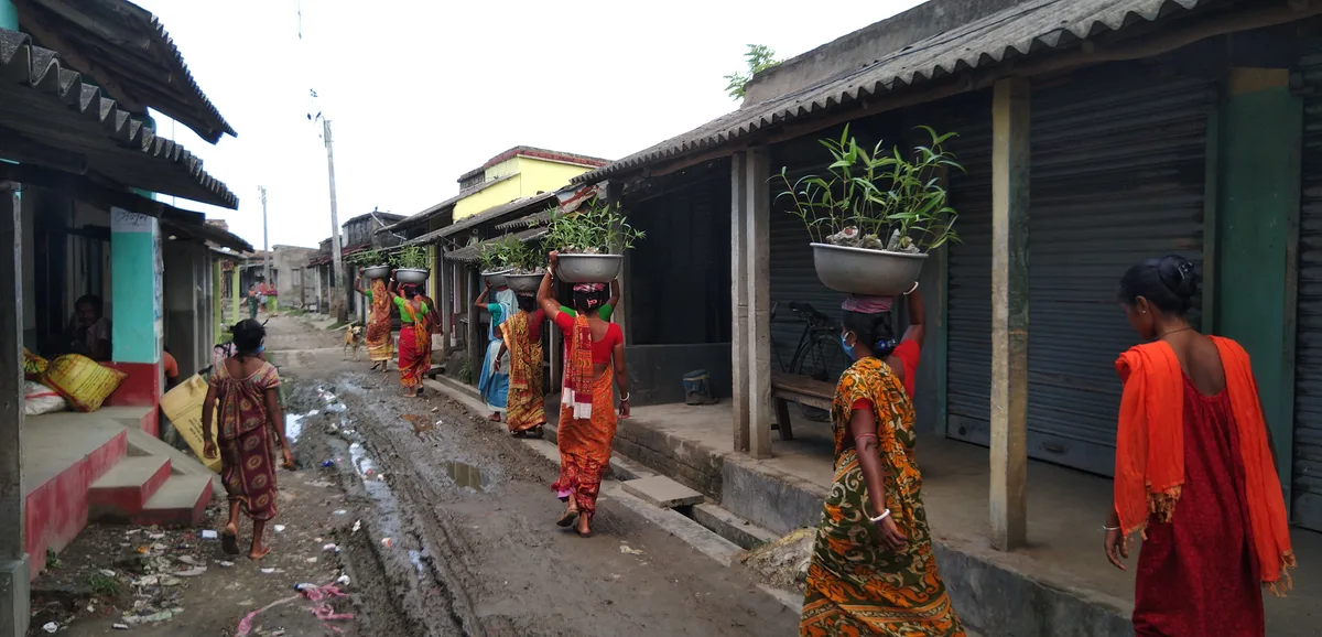 Women carrying mangrove saplings along a local market road