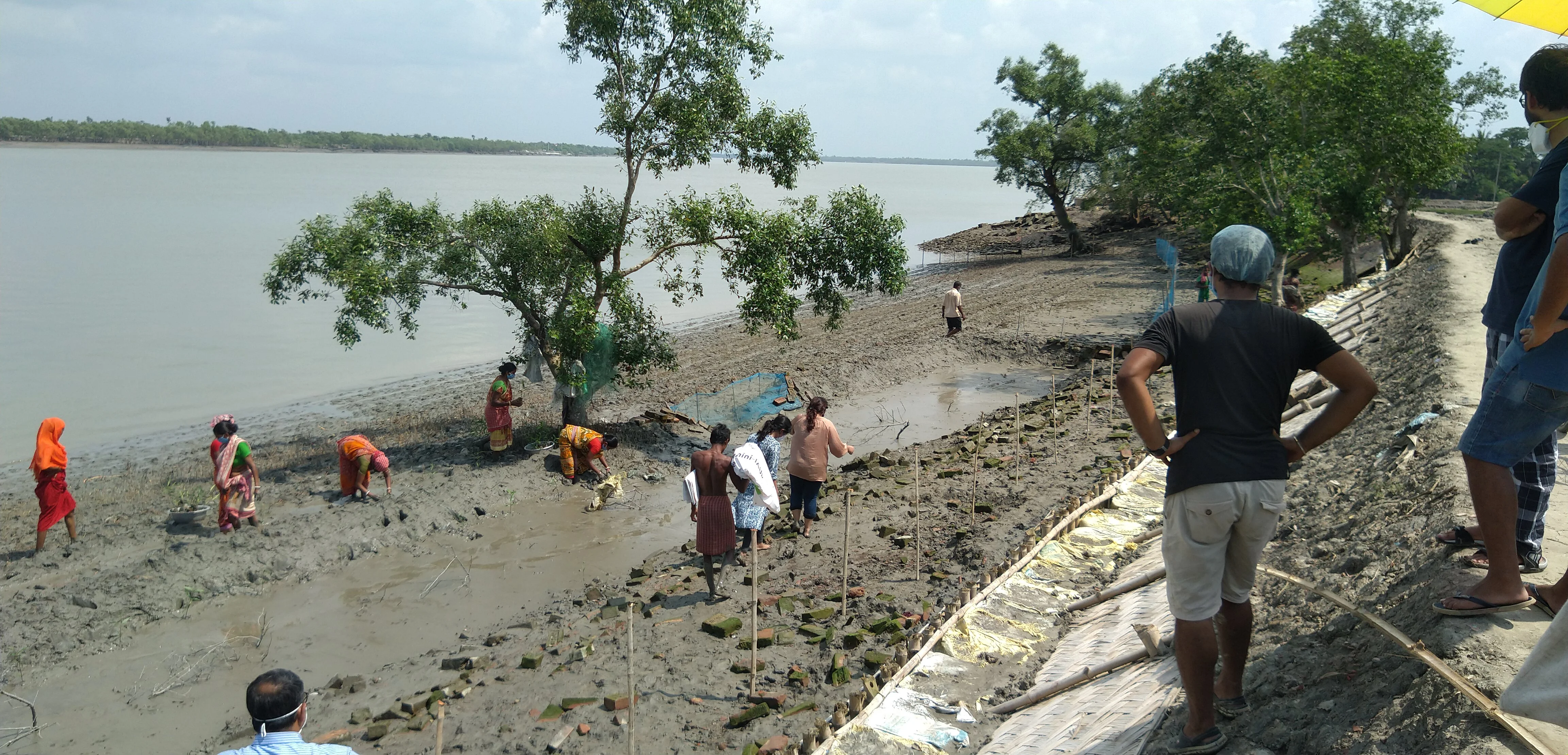 Villagers planting mangrove saplings at a riverside plantation site