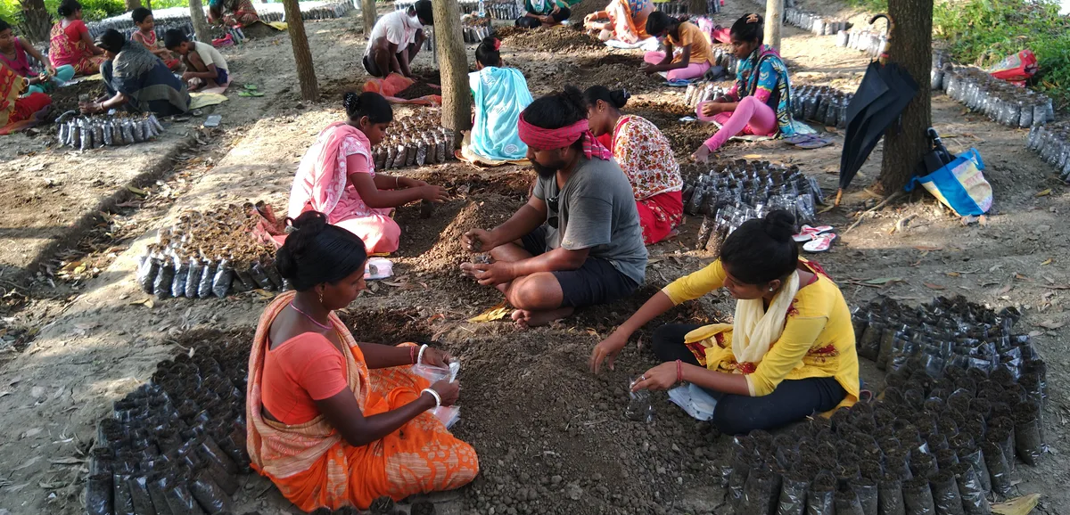 Villagers preparing soil at a mangrove nursery