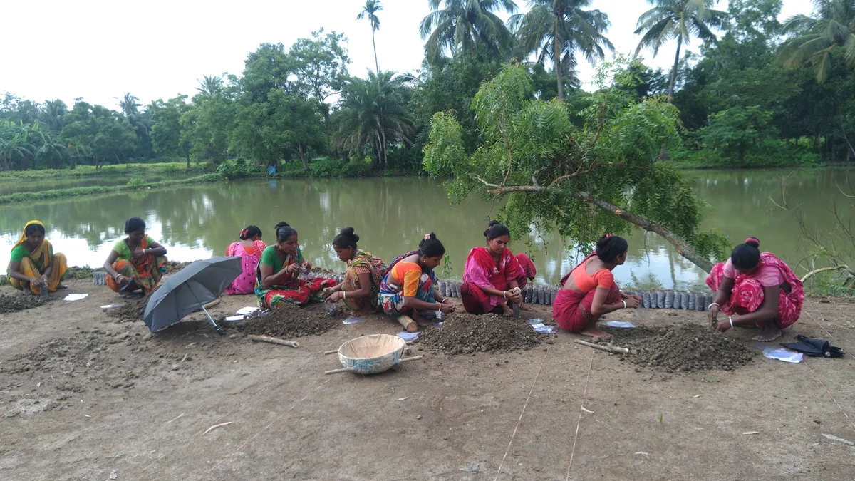 Women planting mangrove saplings beside a river