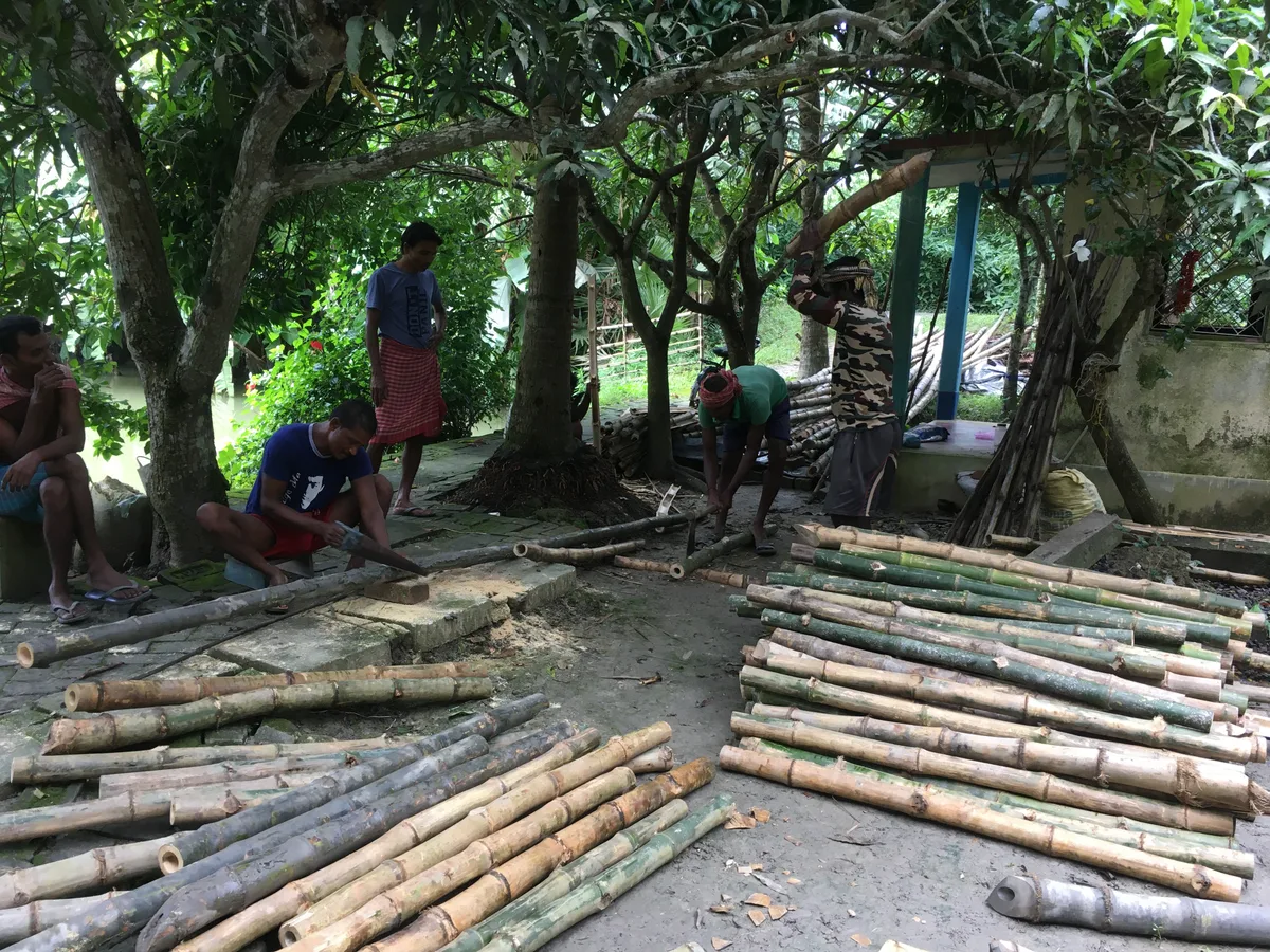 Men cutting bamboo poles for structures protecting planted saplings