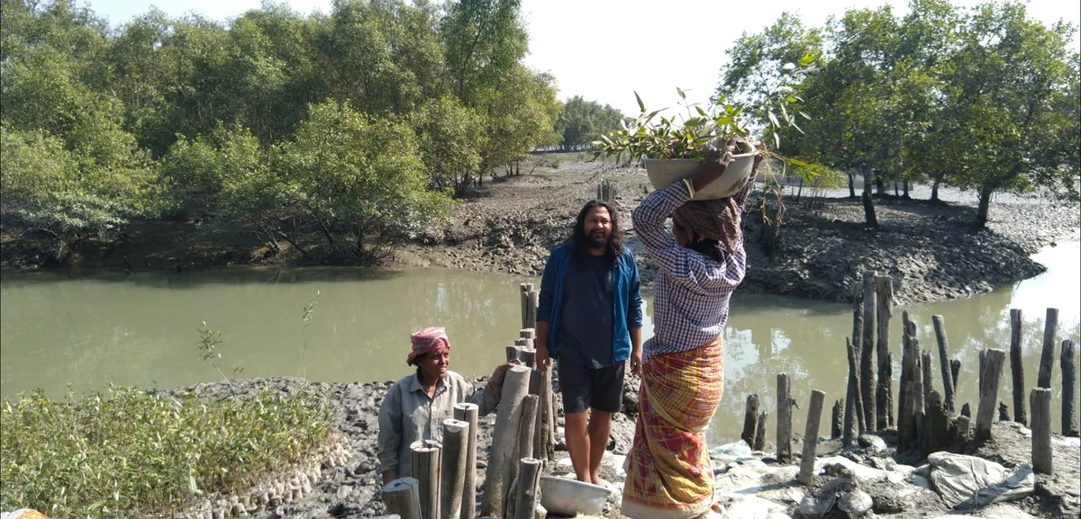 Saurav Moni observing a mangrove plantation site